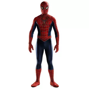 Raimi Spiderman Costume 3D Print Spandex Superhero Cosplay Adult & Kid Suit New - Picture 1 of 12