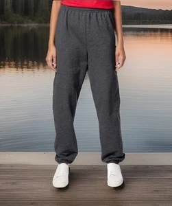 2 Pack 3XL Hanes Mens Sweatpants Pockets Fleece Jogger Pants Drawcord EcoSmart - Picture 1 of 4