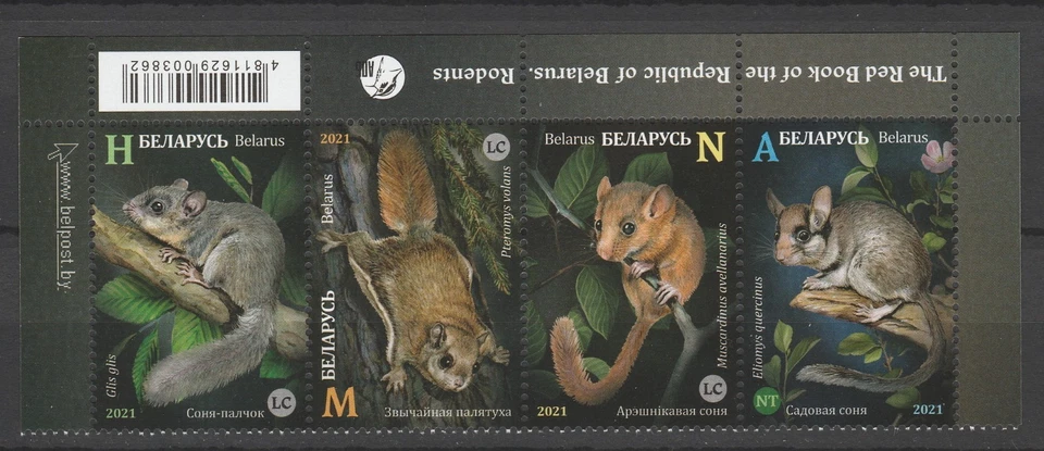 Bielorrusia 2021 Fauna, Animales, Roedores 4 sellos MNH Foto 1 de 1