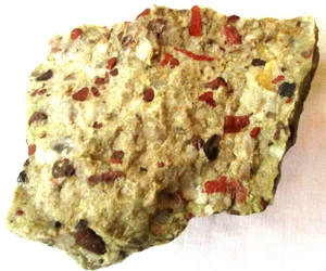 Rough Michigan Pudding Stone - 3.25 Kgs - 7+ Pounds - Puddingstone - Picture 1 of 10