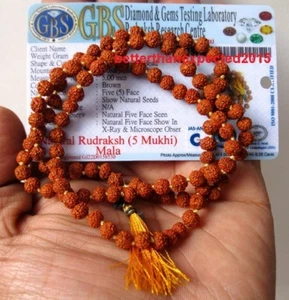 Cuentas de oración certificadas de laboratorio Rudraksha mala rosario 5 mm japa yoga 108+1 cuentas mala - Imagen 1 de 2