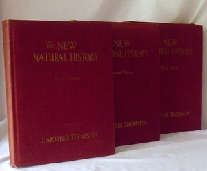 THE NEW NATURAL HISTORY J. Arthur Thomson, 3 Volume Set, 1926 Hardcover Books - Foto 1 di 12