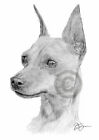 Miniature Pinscher Art Pencil Drawing Print A4 / A3 Signed Pet Portrait