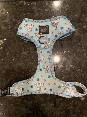 Sassy woof “Cute AF” Light Blue Harness! Worn ONCE (for pics) and that’s it!   - Image 1 of 4