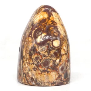 339g Natural Leopard Jasper Crystal Palm Stone Material Healing Energy Specimen - Imagen 1 de 5