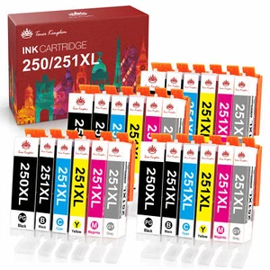 Paquete de 24 Value PGI-250XL CLI-251XL Tinta Gris juego de 4 para Canon PIXMA MG7520 MG6620 - Imagen 1 de 6