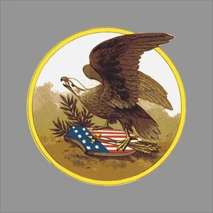 Calcomanía de vinilo American Eagle Patriotic ventana coche ventana - Imagen 1 de 4