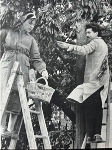 Recortes editoriales fotografiados Cartier-Bresson años 60 - Alain Robbe-Grillet 1963 - Imagen 1 de 2