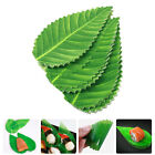 200 pièces feuilles de sushi artificielles vertes pour décoration-MH