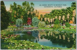 Scenic Beauty in McKinley Park, Sacramento California, Linen Postcard - Picture 1 of 2