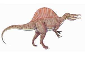 PÓSTER BRILLANTE SPINOSAURUS AEGYPTIACUS IMAGEN BANNER IMPRESIÓN FOTO reptil 7814 - Imagen 1 de 1