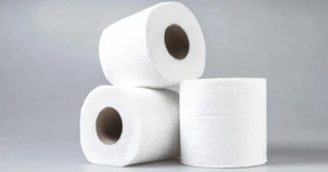 24 Rolls Toilet Tissue Paper 2 ply Sheets Brand New Wholesale Cheap Free Postage - Picture 1 of 1