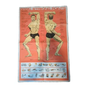 Vintage 1981 Martial Arts Poster Basic Technique Striking Points  23x35" - Picture 1 of 15