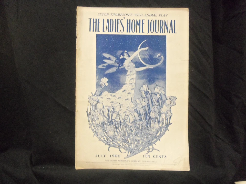 1900 JULY LADIES' HOME JOURNAL MAGAZINE - GREAT ILLUSTRATIONS & ADS - ST 1604 — 第 1/2 张图片