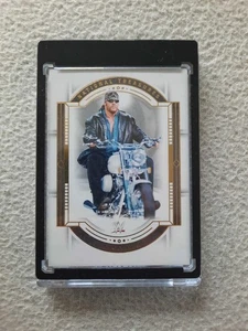 Panini National Treasures WWE Undertaker Gold Legends /99 - Foto 1 di 2