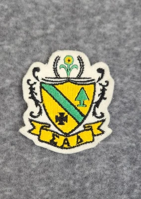 Vintage Sew On Fraternity Or Sorority Patch Multicolor ΣΑΔ - Image 1 of 4