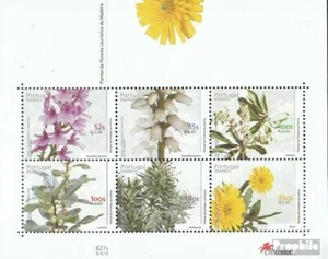 Madeira (Portugal) Bloque 21 nuevo 2000 plantas el Lorbeerwälel - Imagen 1 de 1