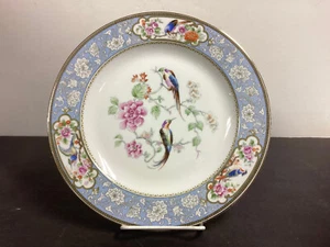 Hutschenreuther~Bird of Paradise ~ 10 1/8" Dinner Plate (s)  Mint !! - Picture 1 of 2