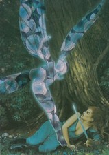 1994 COMIC IMAGES RON MILLER'S FIREBRANDS COMIC CARD SUBSET PRISM CARD P5