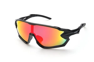 Alpland Lunettes de Sport Ski Neige Soleil Polarisé & Verre Transparent