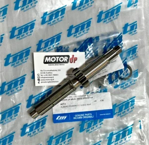 ALBERO PRIMARIO Z13 RINFORZATA TM RACING 40714 PRIMARY SHAFT MOTARD FI 2T SMR - Picture 1 of 1