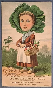 Cabbage Lady Veggie Person Trade Card~Bay State Fertilizer~Clark’s Cove Guano~MA - Picture 1 of 4