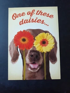 Funny Birthday Card - Picture 1 of 4