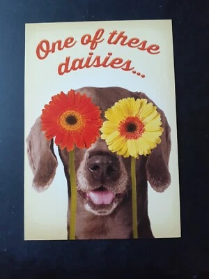 Funny Birthday Card  - Image 1 of 4