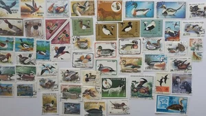 Enten Briefmarken Sammlung - 25 & 50 verschiedene Briefmarken  - Bild 1 von 1