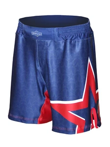 The U.S.A. Stars Fight Shorts - Picture 1 of 16