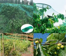 Garden Netting Plant Protection Mesh Crop Netting Pond Veg Fruit Anti Net 4mx5m