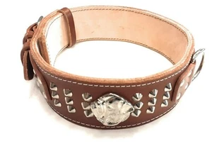 Heavy Duty Brown Dog Collar Studded Design with American Bulldog Head Motif - Picture 1 of 1