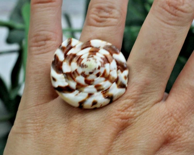 Natural Trochus Shell Seychelles Hololith Hand Carved  Ring; Size 5 - 7 - Image 1 of 3