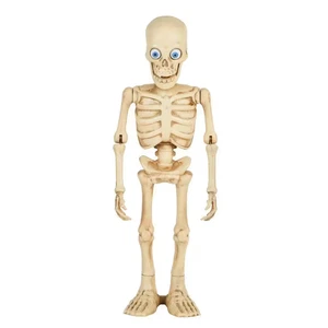 3 Ft Animated LED Dancing Skeleton – Halloween Classics Indoor/Outdoor Décor - Picture 1 of 6