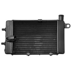 Radiator Aluminum New Grille Fits For Aprilia Mille RSV1000 Tuono 2002-2005 2003 - Picture 1 of 12