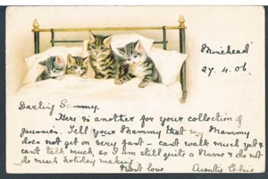 UNDIVIDED POSTCARD FOUR KITTENS IN A BED 1906  - MINEHEAD - OVER STOWEY - Picture 1 of 2