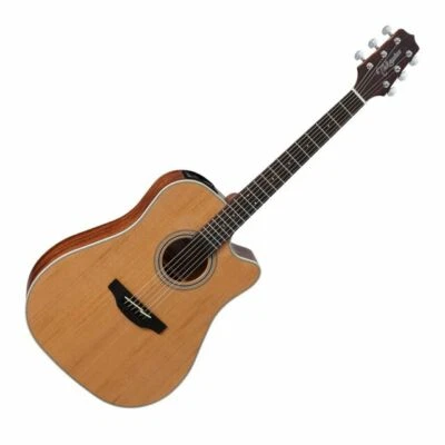Takamine Lawsuit F340 | eBay