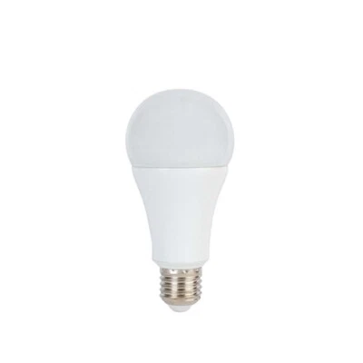 Lâmpada de estúdio LED Promaster 14W (5600K) - Imagem 1 de 2