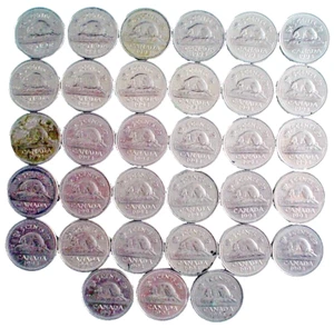 LOTE 33 CANADIENSES 5 CENTAVOS DE 1993 ***** 33 MONEDAS DE 5 CENTAVOS CANADÁ 1993 - Imagen 1 de 5
