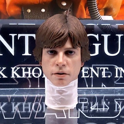 Figura de acción esculpida cabeza escultura Hot Toys MMS585 Luke Skywalker Snowspeeder Pilot 1/6 Foto 1 de 4