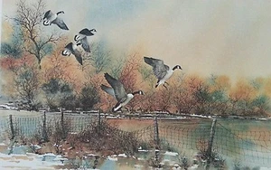 Herald Bishop Ltd Edit Print Geese Landing on Lake 225 of only 1000 - Picture 1 of 8