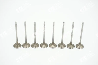 8x Valvola di Aspirazione 04L109601N 2.0 Tdi per VW Audi Man Crafter T6 Q2 Cxec - Immagine 1 di 2