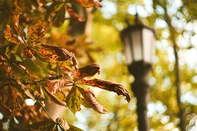 Sony E FE Fit Helios 44M-4 Bokeh King 58mm F/2 Legendary Zeiss Derived Lens - Image 1 of 4