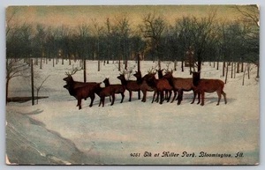 Postcard Illinois Bloomington Elk at Miller Park - Picture 1 of 2
