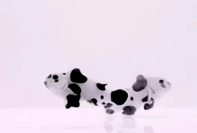 Black Storm Clownfish Grado A Par VIP Alta Calidad 1.7 5"-2" Foto 1 de 3