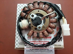 STATORE 163061 MALAGUTI YAMAHA MBK MADISON MAJESTIC SKYLINER 125 150 - Imagen 1 de 1
