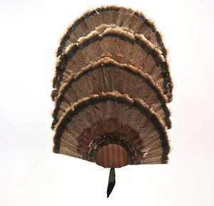 Turkey Fan Mounting Kit. 4 Fan Display System with beard holder Copper - Picture 1 of 7