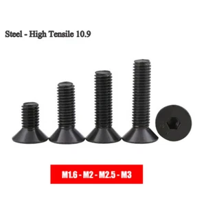 M1.6 M2 M2.5 M3 Flat Head Socket Cap Screw Allen Bolts Hex-Key High Tensile 10.9 - Picture 1 of 6