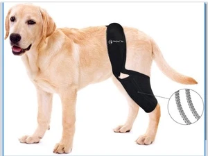 Knee Brace for Dogs ACL with Side Stabilizers,Knee Cap Dislocation, Arthritis - - Picture 1 of 5