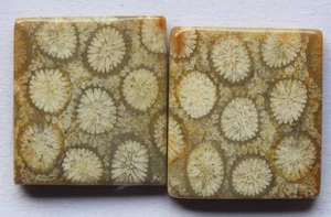 23.45 Ct Natural Fossil Coral (18.7mm X 17mm each) Cabochon Loose Match Pair - Picture 1 of 3